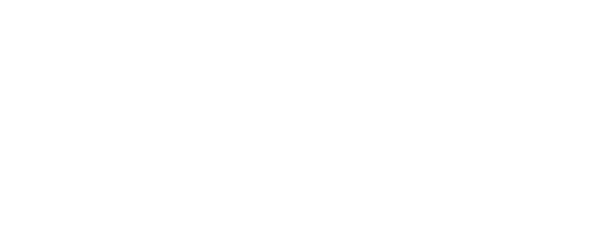 BNP Paribas logo